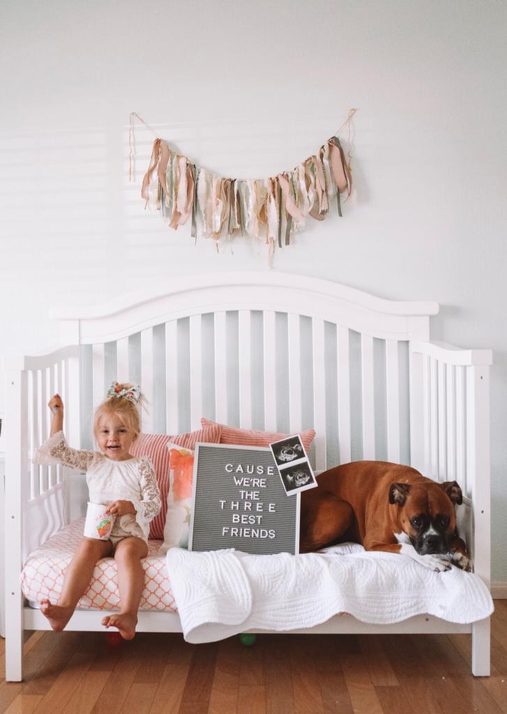 how to announce baby 2 with fur baby