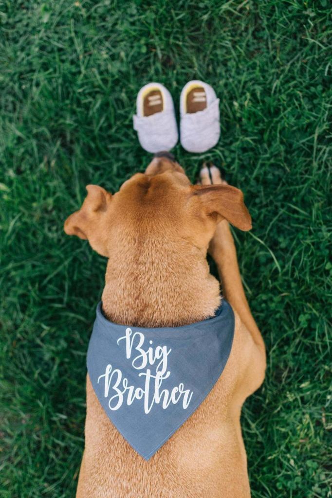 another baby announcement