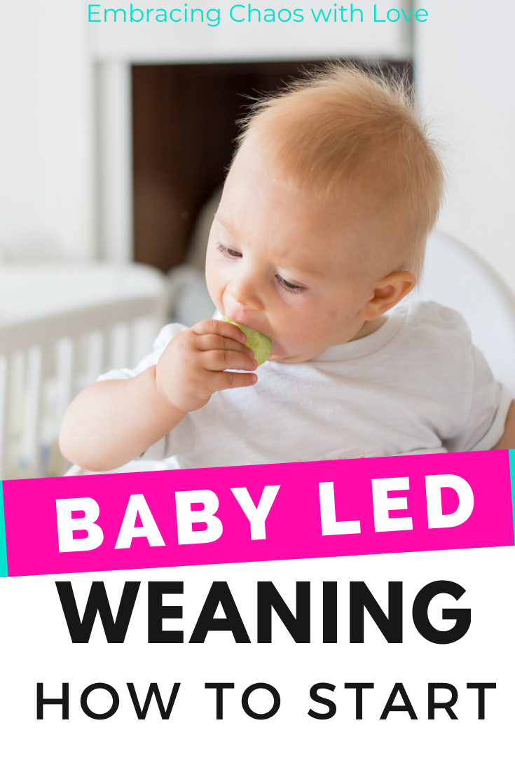 Ultimate Guide to Starting Baby-Led Weaning with Breakfast Ideas