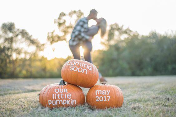 little pumpkin coming soon announcement